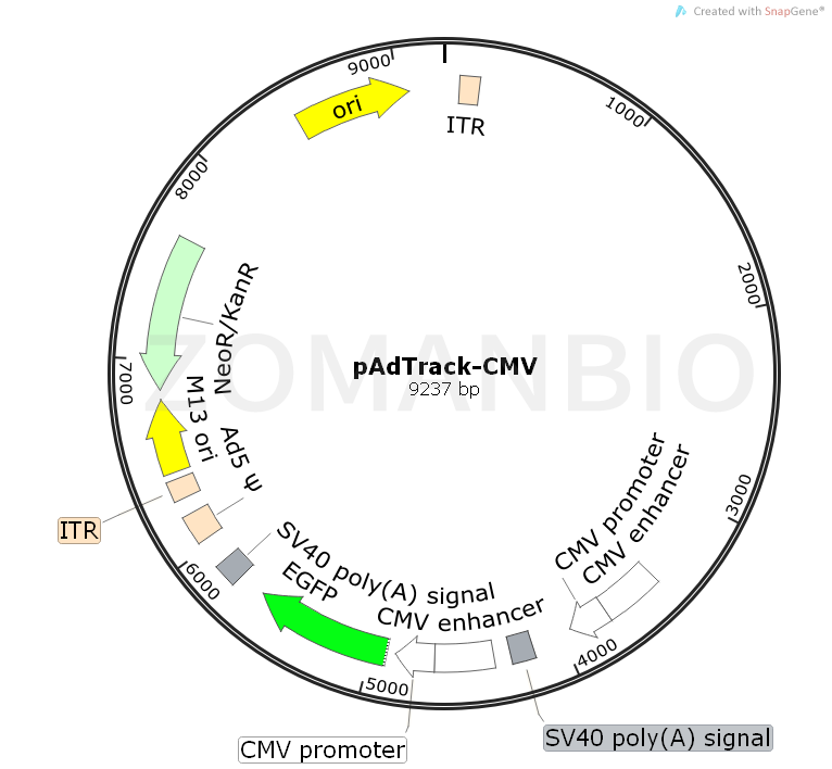 ZK722pAdTrack-CMV.png