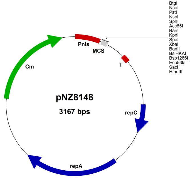 ZK1060pNZ8148.png